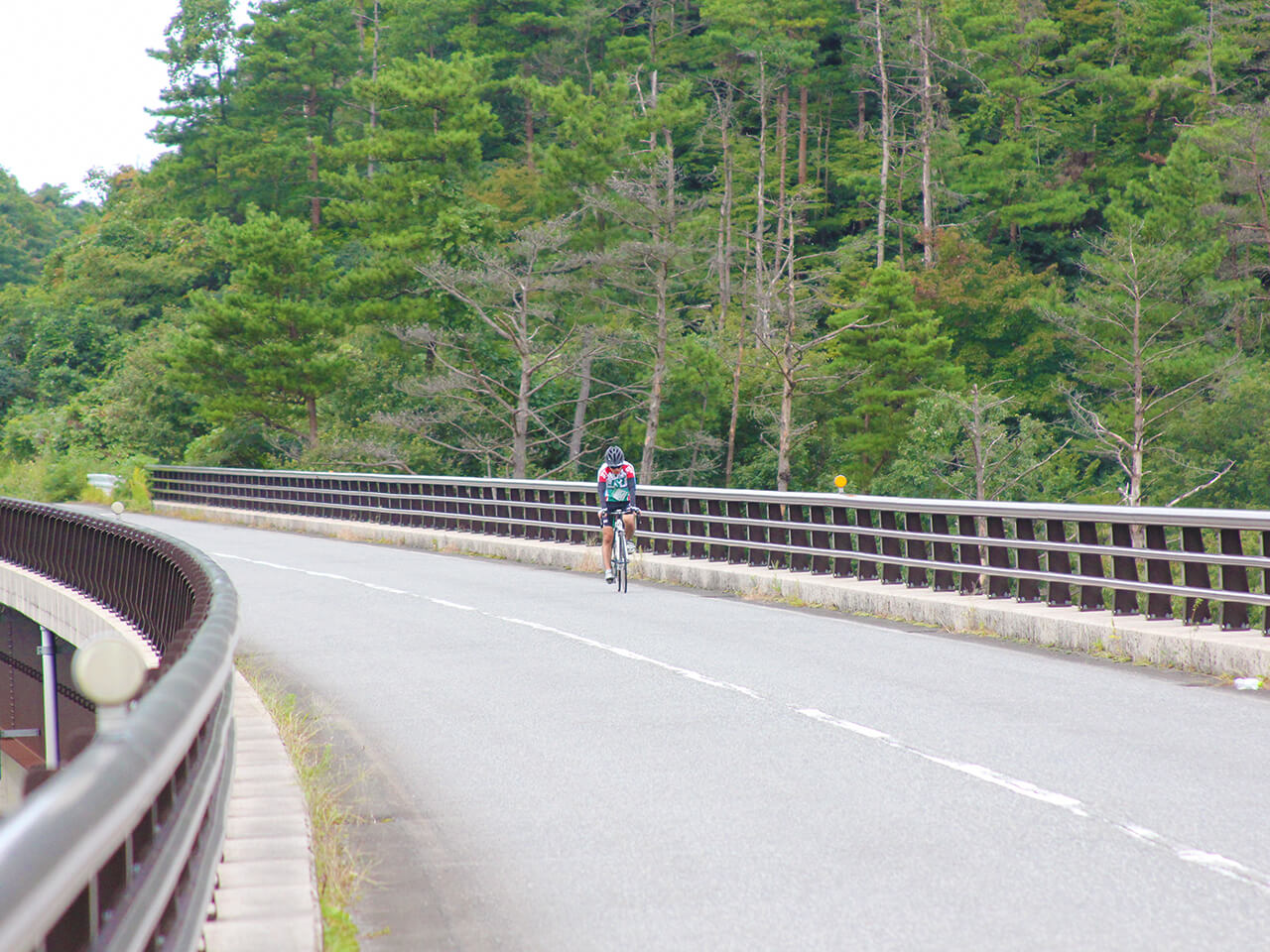 鳥取県【TT-7】大山山麓満喫サイクリングルート