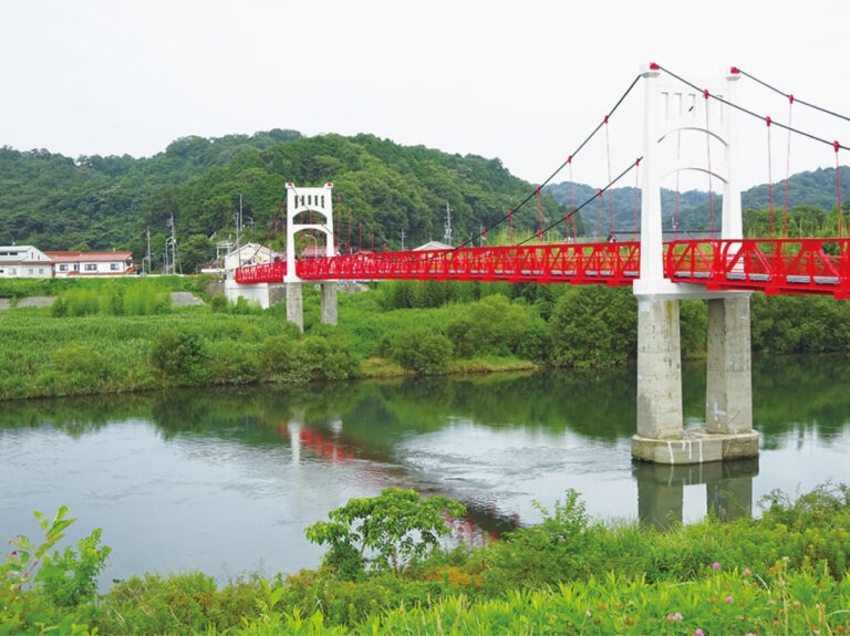 島根県【SN-18】IRELAND National Team Training Course